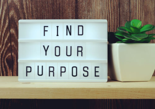 Find Your Purpose